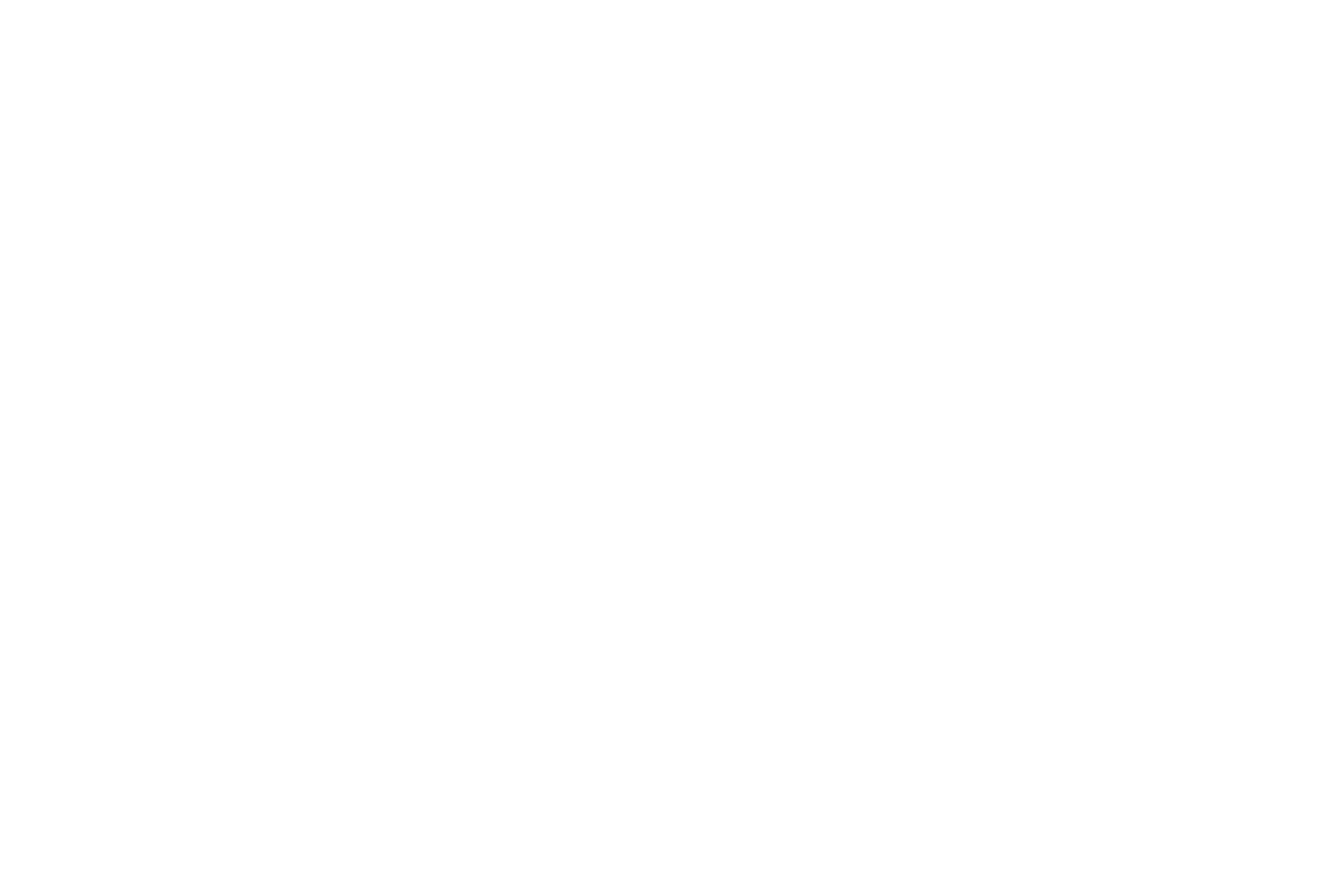 Ebner Media Group Logo